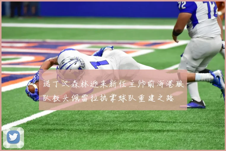 诺丁汉森林迎来新任主帅前海港狼队教头佩雷拉执掌球队重建之路